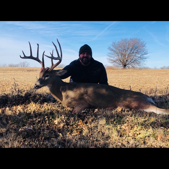 Meet your Posher, Bronson - Picture 1 of 1